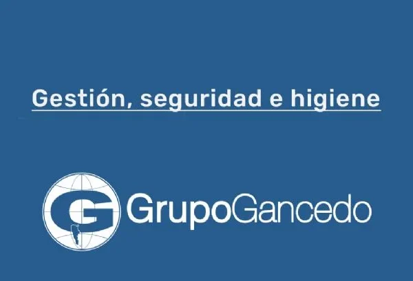 Gestión, Seguridad E Higiene