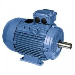 Motores Weg linea w21