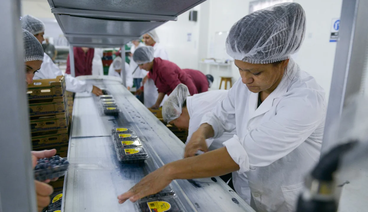 Las pymes manufactureras enfrentan la recesión del consumo y el fuerte incremento de tarifas