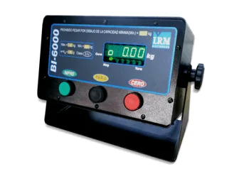 Balanza electrónica con cabezal BI-6000