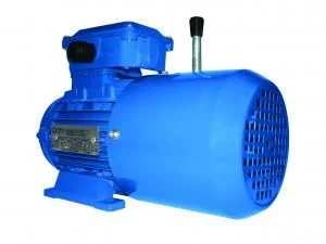 Motor Eléctrico Trifásico Línea MSEJ